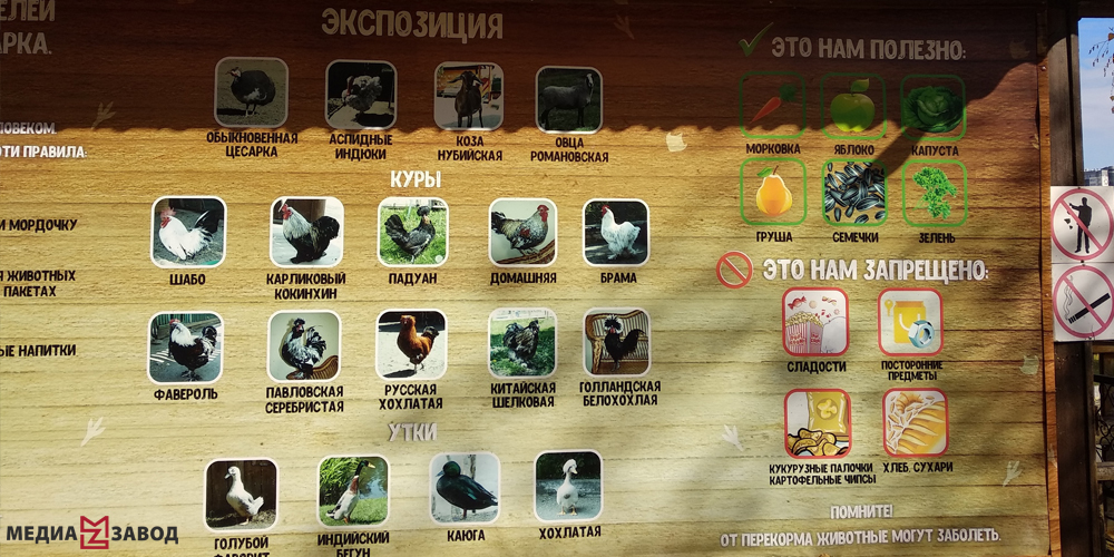 10г.jpg